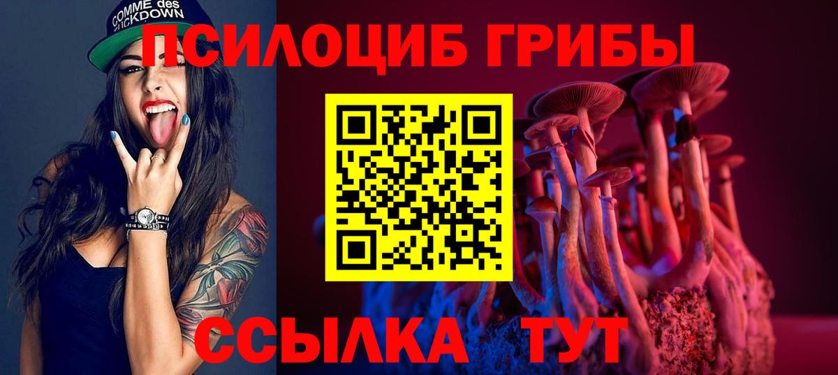 цена   Вход с VPN  Ликино-Дулёво  Псилоцибиновые грибы GOLDEN TEACHER 