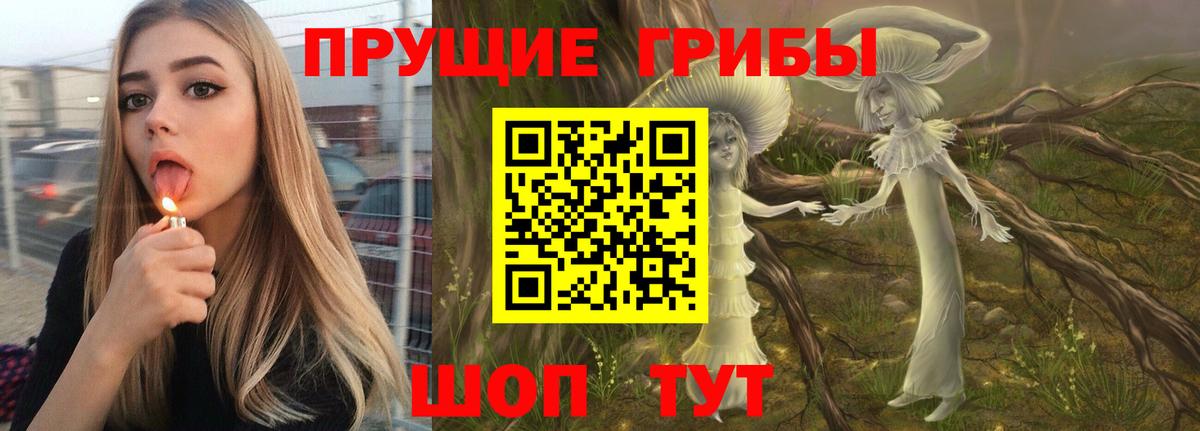 Псилоцибиновые грибы мухоморы Ликино-Дулёво